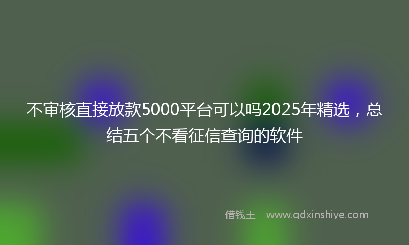 不审核直接放款5000平台可以吗2025年精选，总结五个不看征信查询的软件