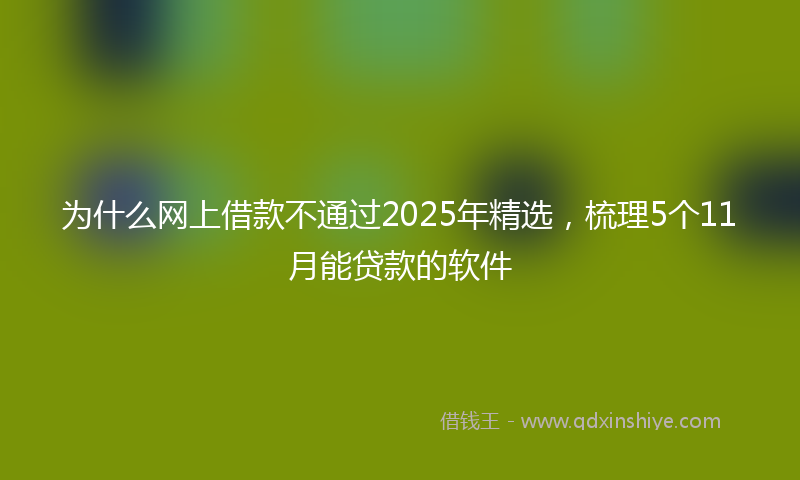 为什么网上借款不通过2025年精选，梳理5个11月能贷款的软件