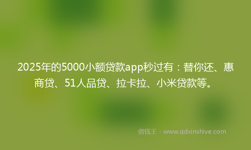 2025年的5000小额贷款app秒过有：替你还、惠商贷、51人品贷、拉卡拉、小米贷款等。