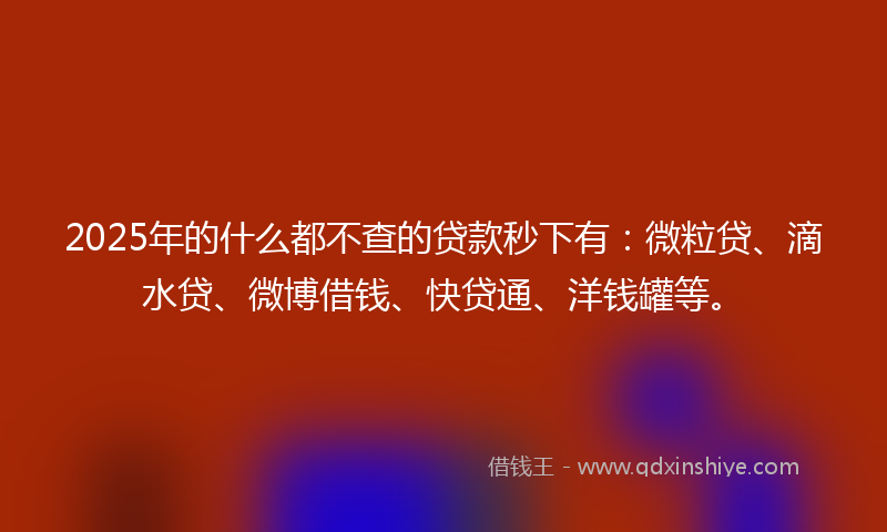 2025年的什么都不查的贷款秒下有：微粒贷、滴水贷、微博借钱、快贷通、洋钱罐等。
