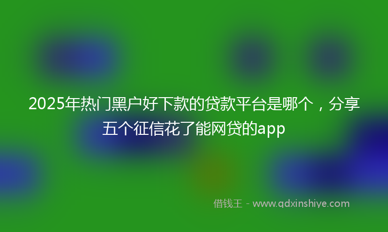2025年热门黑户好下款的贷款平台是哪个，分享五个征信花了能网贷的app