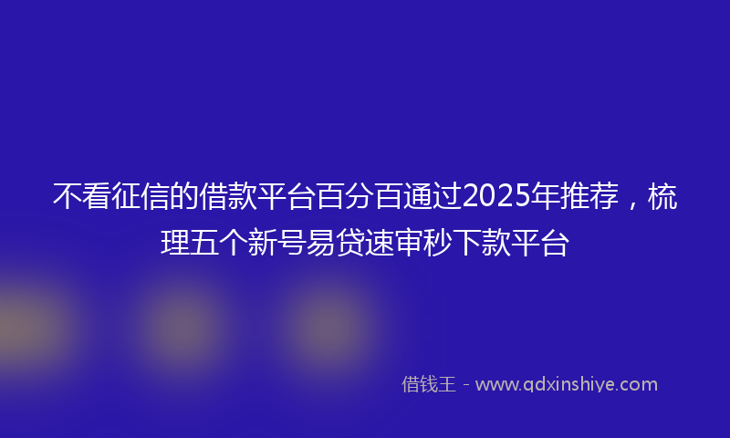 不看征信的借款平台百分百通过2025年推荐，梳理五个新号易贷速审秒下款平台