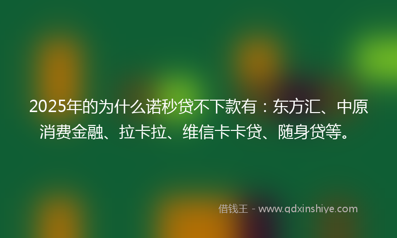 2025年的为什么诺秒贷不下款有：东方汇、中原消费金融、拉卡拉、维信卡卡贷、随身贷等。
