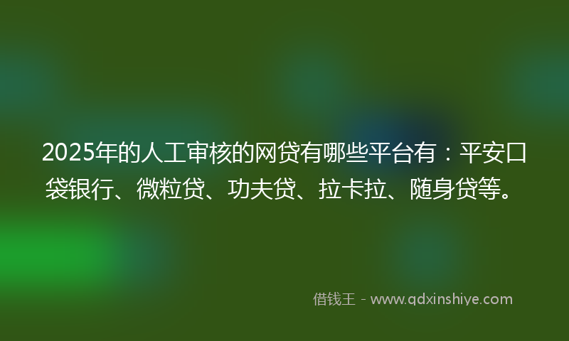 2025年的人工审核的网贷有哪些平台有：平安口袋银行、微粒贷、功夫贷、拉卡拉、随身贷等。