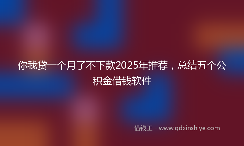 你我贷一个月了不下款2025年推荐，总结五个公积金借钱软件