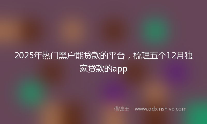 2025年热门黑户能贷款的平台，梳理五个12月独家贷款的app