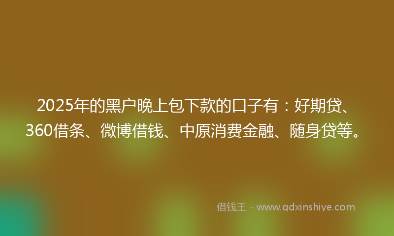 2025年的黑户晚上包下款的口子有：好期贷、360借条、微博借钱、中原消费金融、随身贷等。