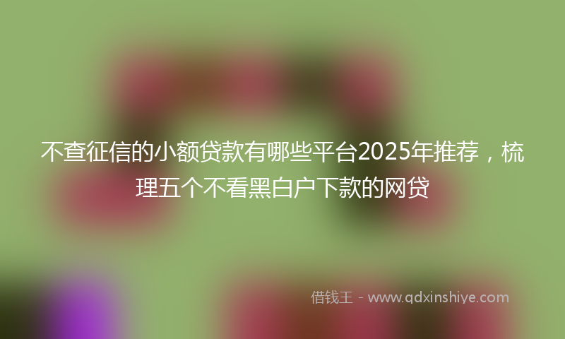 不查征信的小额贷款有哪些平台2025年推荐，梳理五个不看黑白户下款的网贷