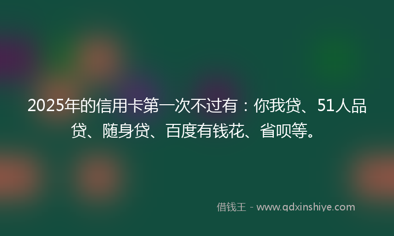 2025年的信用卡第一次不过有:你我贷、51人品贷、随身贷、百度有钱花、省呗等。