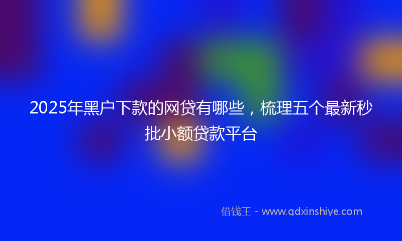 2025年黑户下款的网贷有哪些，梳理五个最新秒批小额贷款平台