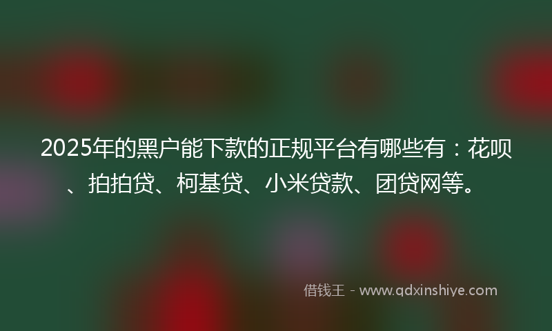 2025年的黑户能下款的正规平台有哪些有：花呗、拍拍贷、柯基贷、小米贷款、团贷网等。
