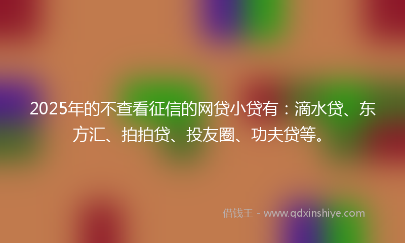 2025年的不查看征信的网贷小贷有：滴水贷、东方汇、拍拍贷、投友圈、功夫贷等。