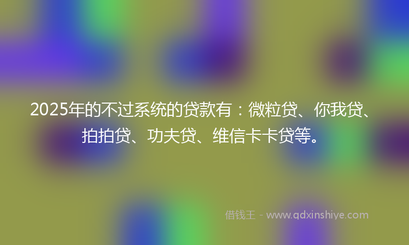 2025年的不过系统的贷款有：微粒贷、你我贷、拍拍贷、功夫贷、维信卡卡贷等。