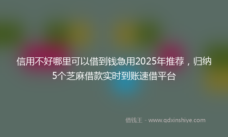 信用不好哪里可以借到钱急用2025年推荐，归纳5个芝麻借款实时到账速借平台