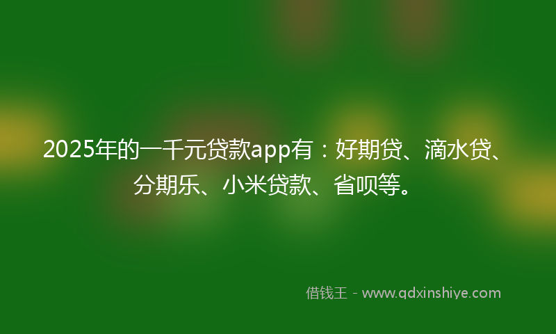 2025年的一千元贷款app有：好期贷、滴水贷、分期乐、小米贷款、省呗等。