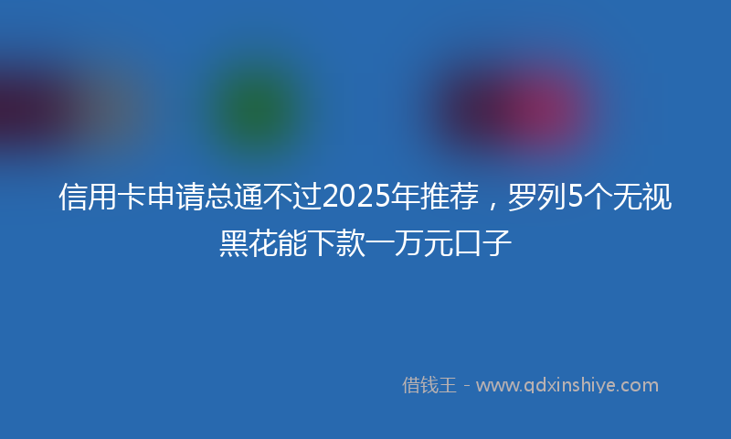 信用卡申请总通不过2025年推荐，罗列5个无视黑花能下款一万元口子