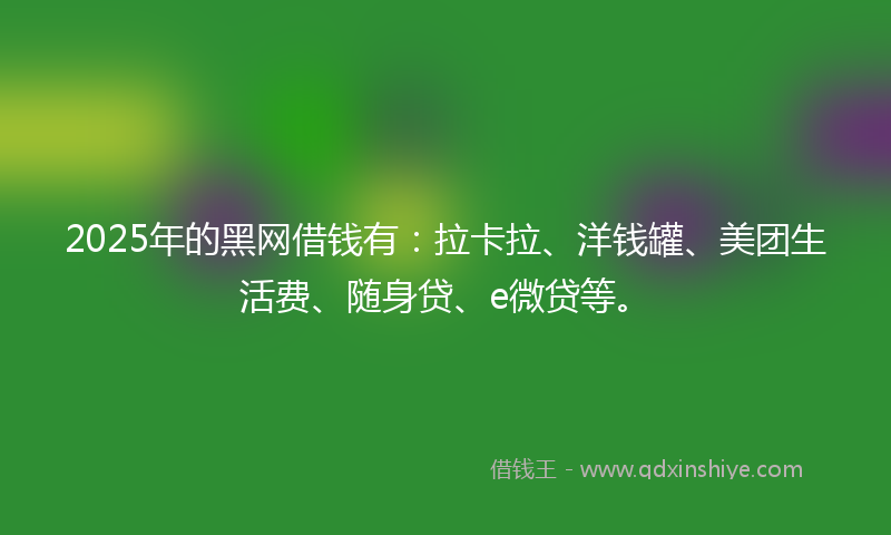 2025年的黑网借钱有：拉卡拉、洋钱罐、美团生活费、随身贷、e微贷等。