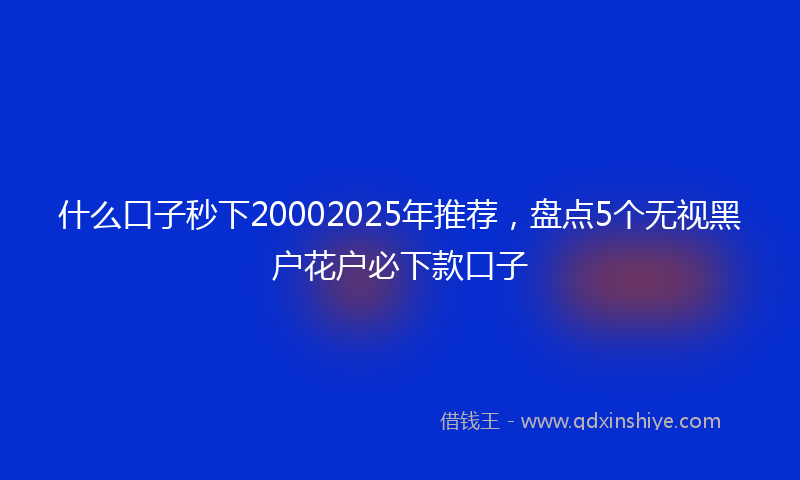 什么口子秒下20002025年推荐，盘点5个无视黑户花户必下款口子