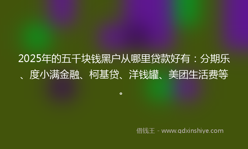 2025年的五千块钱黑户从哪里贷款好有：分期乐、度小满金融、柯基贷、洋钱罐、美团生活费等。
