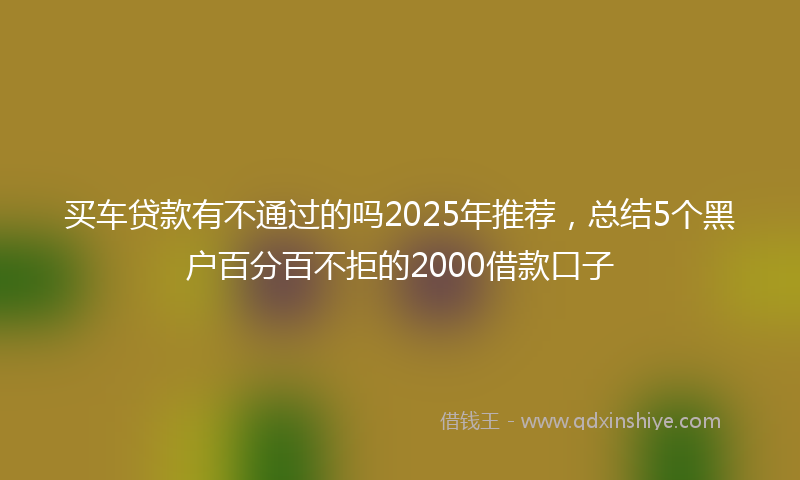 买车贷款有不通过的吗2025年推荐，总结5个黑户百分百不拒的2000借款口子