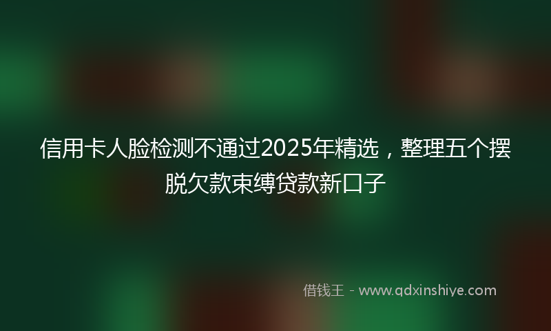 信用卡人脸检测不通过2025年精选，整理五个摆脱欠款束缚贷款新口子