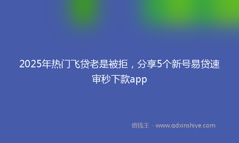 2025年热门飞贷老是被拒，分享5个新号易贷速审秒下款app
