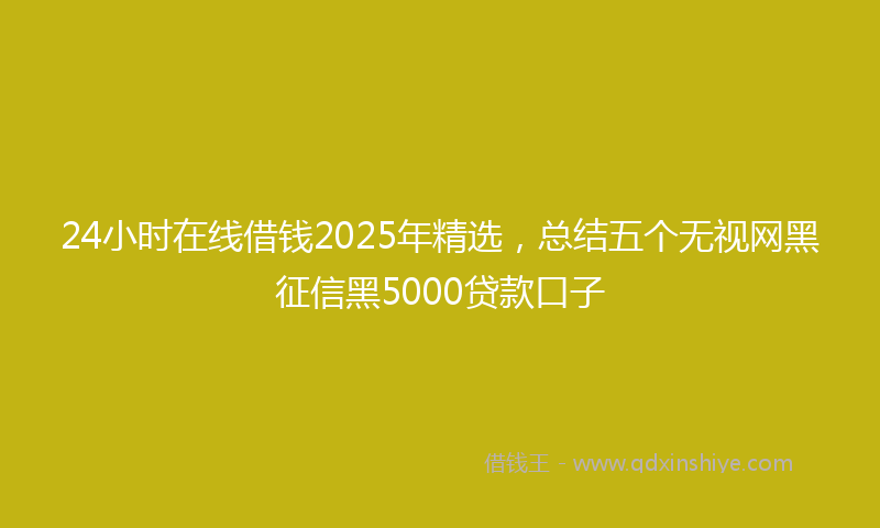 24小时在线借钱2025年精选，总结五个无视网黑征信黑5000贷款口子