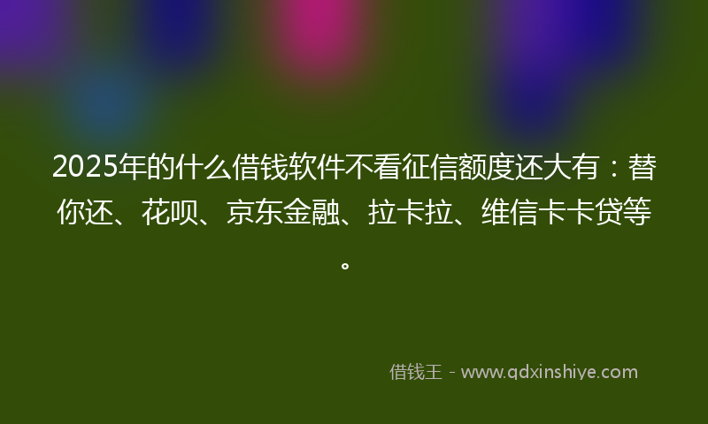 2025年的什么借钱软件不看征信额度还大有：替你还、花呗、京东金融、拉卡拉、维信卡卡贷等。
