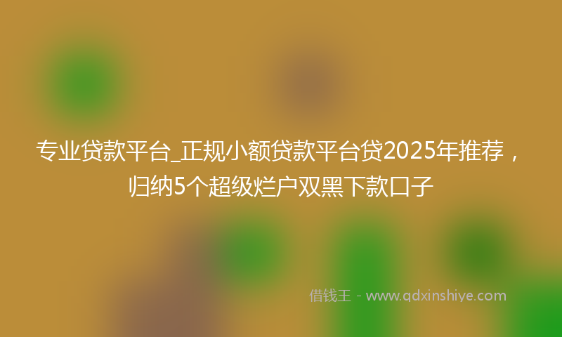 专业贷款平台_正规小额贷款平台贷2025年推荐，归纳5个超级烂户双黑下款口子
