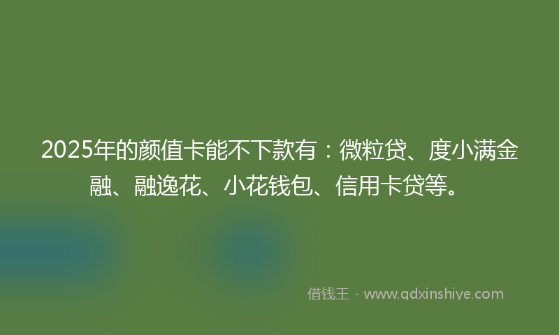 2025年的颜值卡能不下款有：微粒贷、度小满金融、融逸花、小花钱包、信用卡贷等。