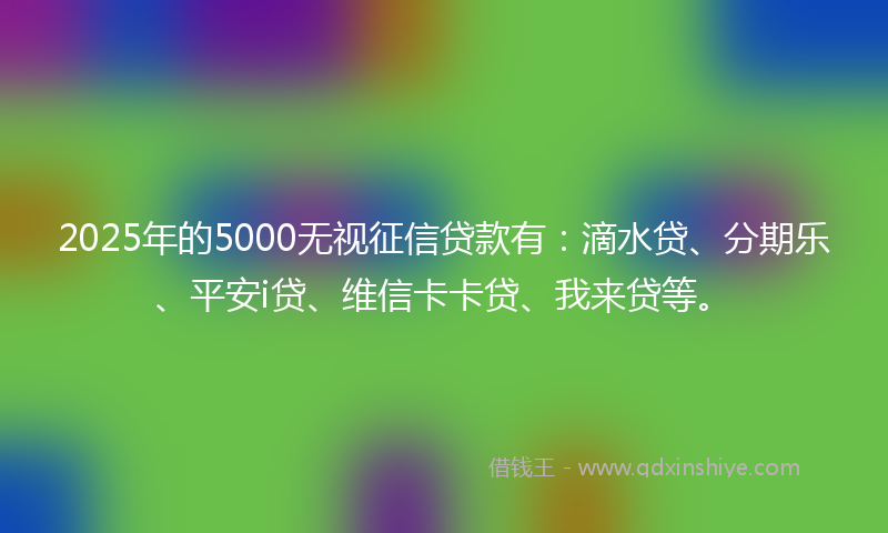 2025年的5000无视征信贷款有：滴水贷、分期乐、平安i贷、维信卡卡贷、我来贷等。