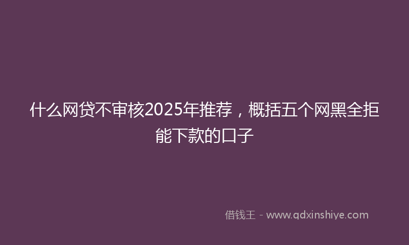 什么网贷不审核2025年推荐，概括五个网黑全拒能下款的口子