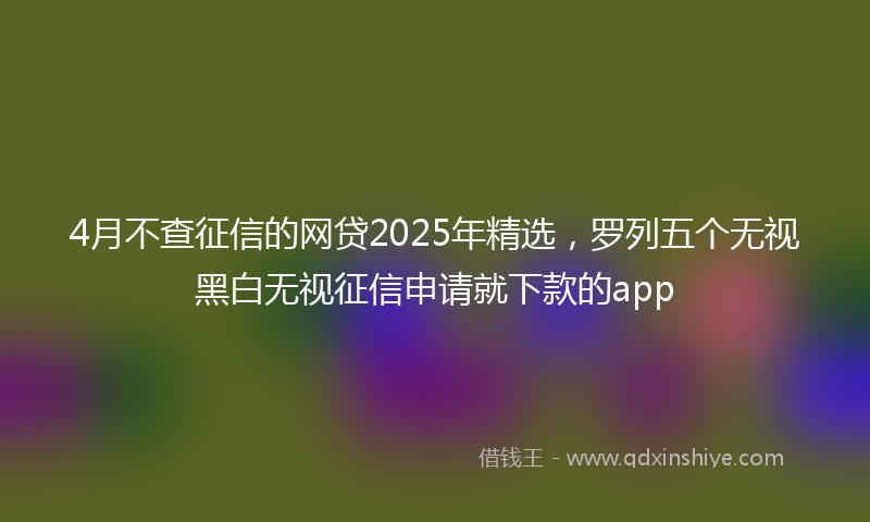 4月不查征信的网贷2025年精选，罗列五个无视黑白无视征信申请就下款的app