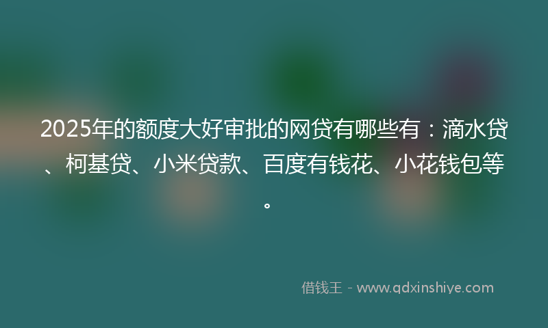 2025年的额度大好审批的网贷有哪些有：滴水贷、柯基贷、小米贷款、百度有钱花、小花钱包等。