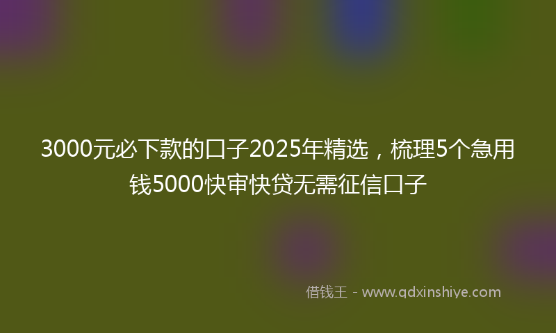 3000元必下款的口子2025年精选，梳理5个急用钱5000快审快贷无需征信口子