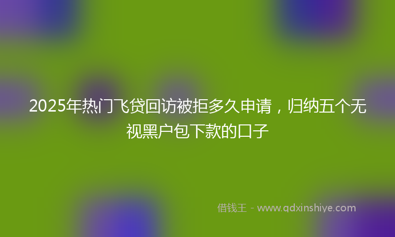 2025年热门飞贷回访被拒多久申请，归纳五个无视黑户包下款的口子
