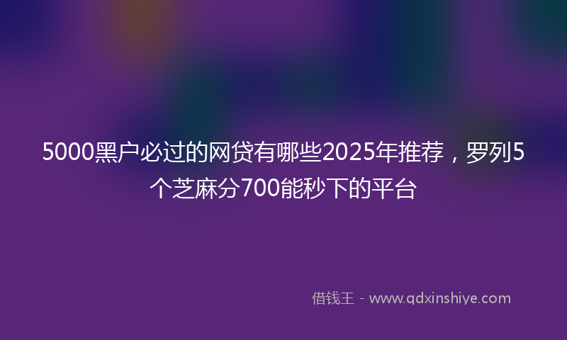 5000黑户必过的网贷有哪些2025年推荐，罗列5个芝麻分700能秒下的平台