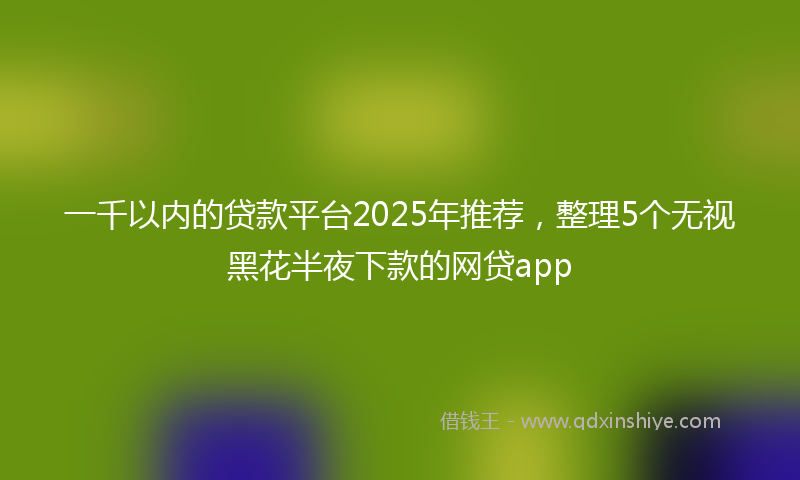 一千以内的贷款平台2025年推荐，整理5个无视黑花半夜下款的网贷app
