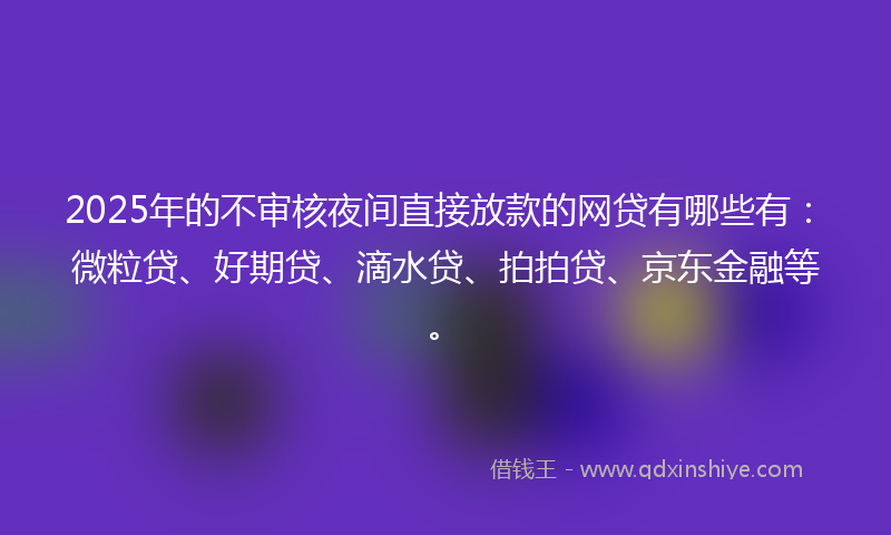 2025年的不审核夜间直接放款的网贷有哪些有：微粒贷、好期贷、滴水贷、拍拍贷、京东金融等。