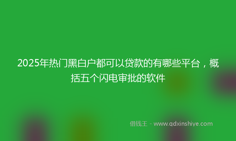 2025年热门黑白户都可以贷款的有哪些平台，概括五个闪电审批的软件