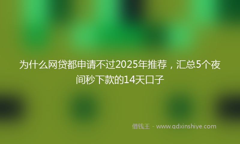 为什么网贷都申请不过2025年推荐，汇总5个夜间秒下款的14天口子