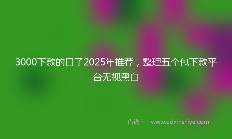 3000下款的口子2025年推荐，整理五个包下款平台无视黑白