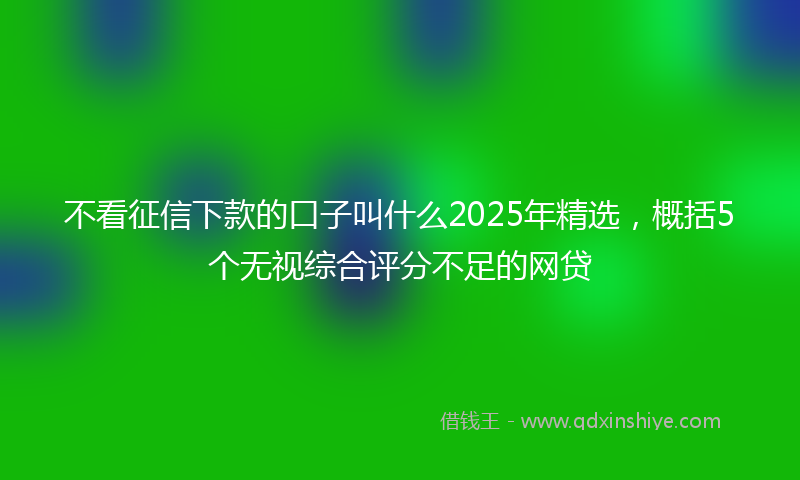 不看征信下款的口子叫什么2025年精选，概括5个无视综合评分不足的网贷