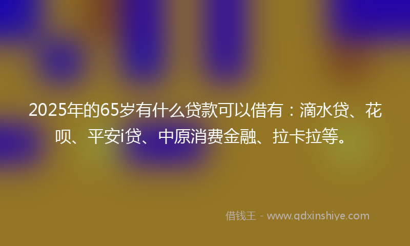 2025年的65岁有什么贷款可以借有：滴水贷、花呗、平安i贷、中原消费金融、拉卡拉等。