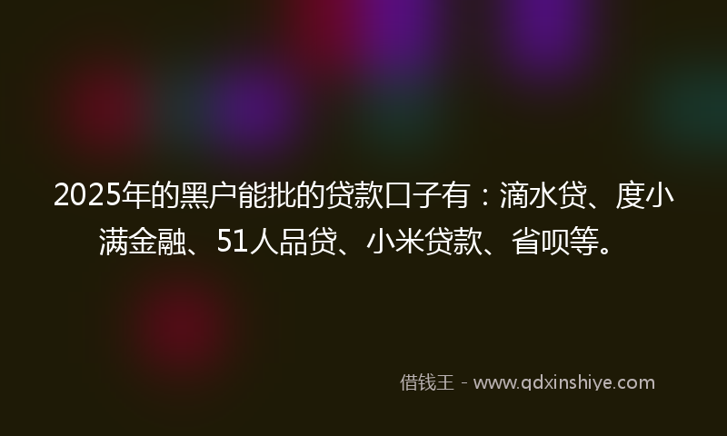 2025年的黑户能批的贷款口子有：滴水贷、度小满金融、51人品贷、小米贷款、省呗等。