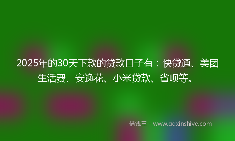 2025年的30天下款的贷款口子有：快贷通、美团生活费、安逸花、小米贷款、省呗等。