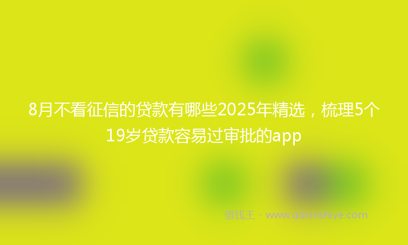 8月不看征信的贷款有哪些2025年精选，梳理5个19岁贷款容易过审批的app