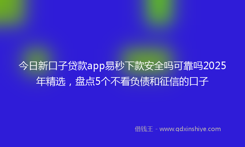 今日新口子贷款app易秒下款安全吗可靠吗2025年精选，盘点5个不看负债和征信的口子