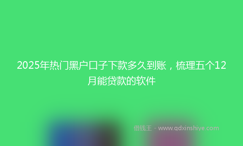 2025年热门黑户口子下款多久到账，梳理五个12月能贷款的软件