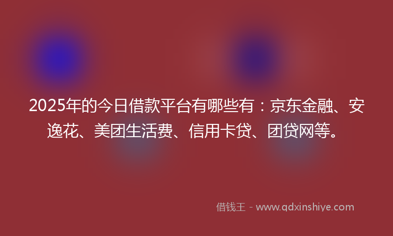 2025年的今日借款平台有哪些有：京东金融、安逸花、美团生活费、信用卡贷、团贷网等。